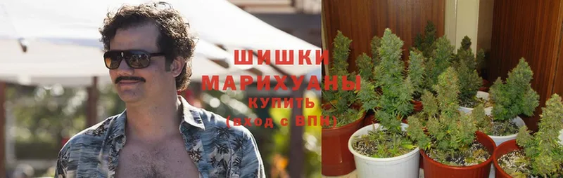 цены   Сухой Лог  Каннабис марихуана 